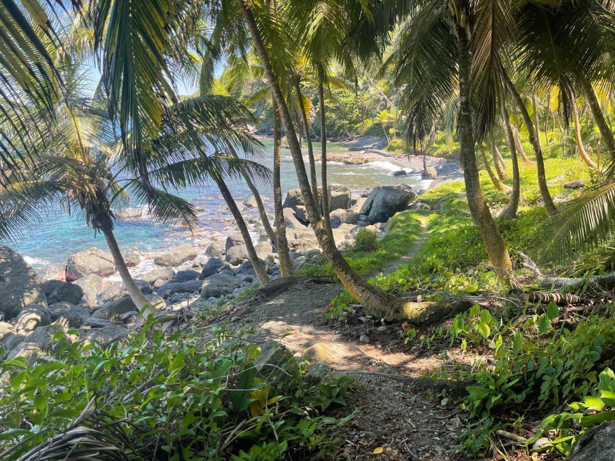 ホテル Casa Wago Capurganá エクステリア 写真